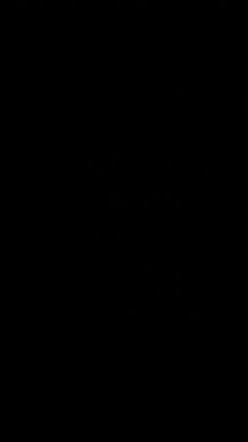 Roth IRA contribution