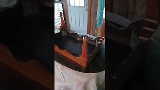 Coffee table refinish