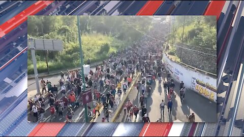 Mammoth Nation Weekly Update - October 31st