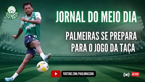 JORNAL DO MEIO-DIA - INFORMAÇÕES DO PALMEIRAS PARA O JOGO DA TAÇA