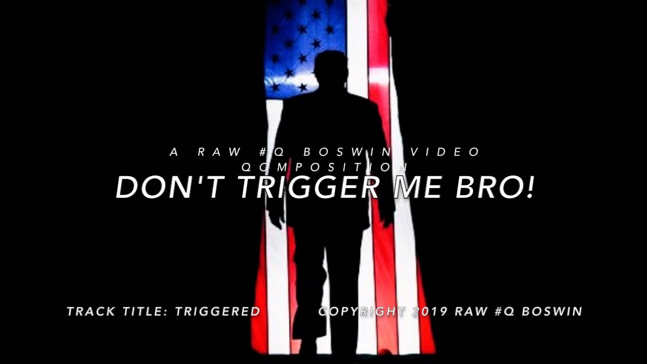 Don't #Trigger Me Bro! ~ The #TolerantLeft vs. #TheSmilingPatriots ~ A #MusicalMeme