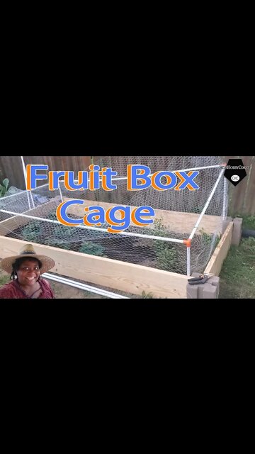 Fruit Box Cage Installation