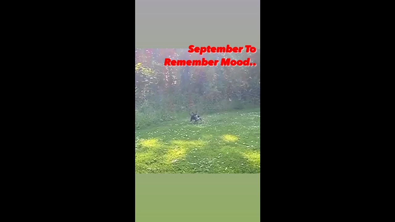 September TO REMEMBER 2022