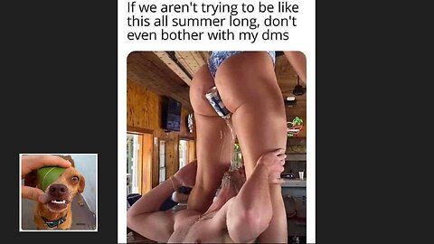 Memes That Will 99.8031% Make You Laugh. (e28)