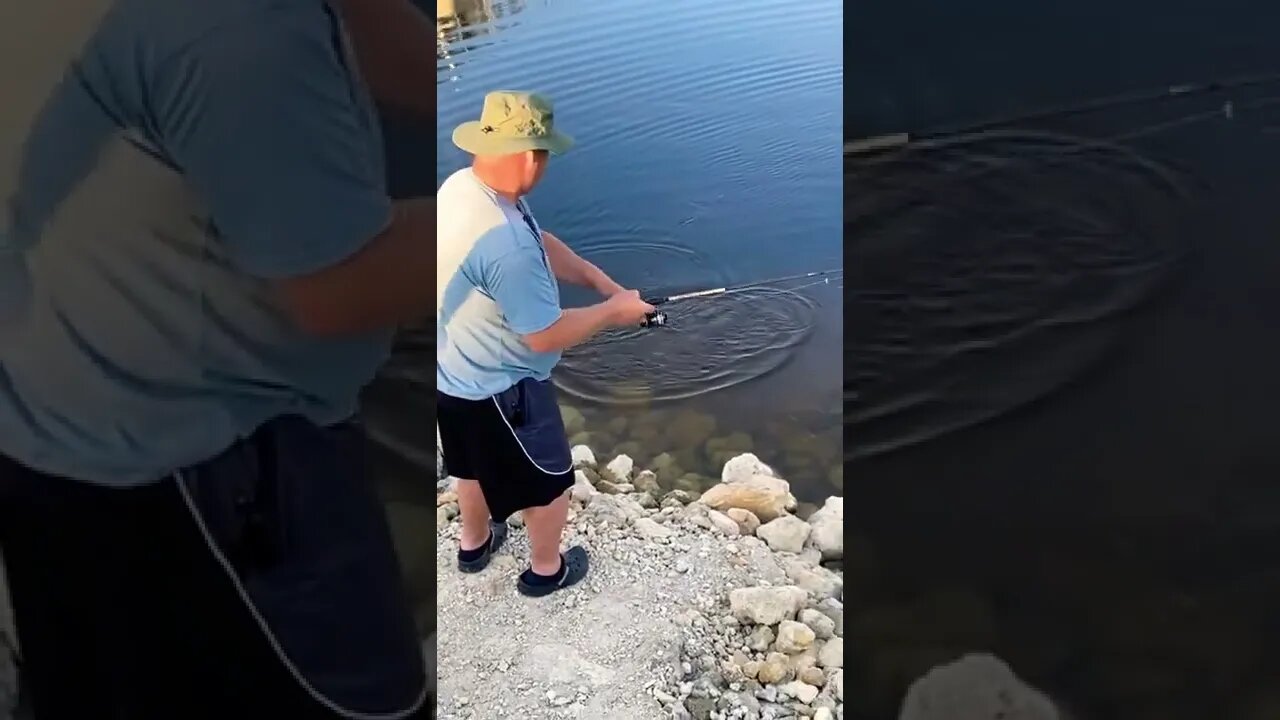 Dad caught another peacock