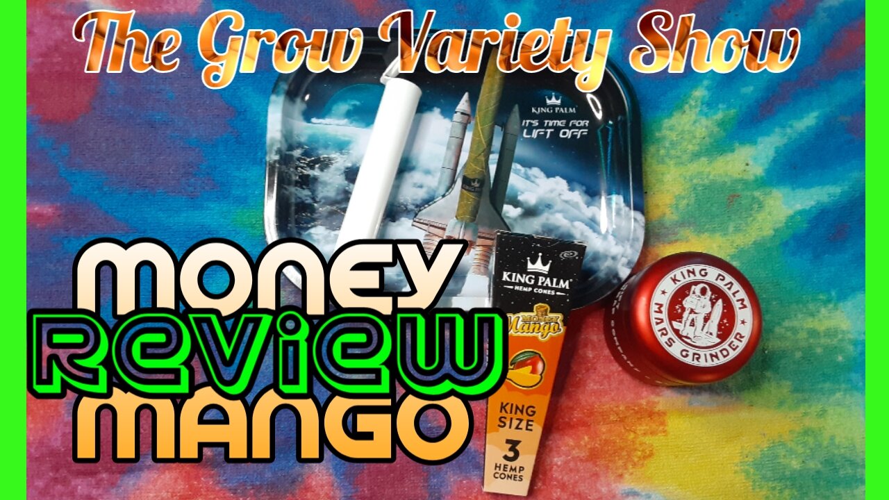 King Palm Money Mango hempcone Review