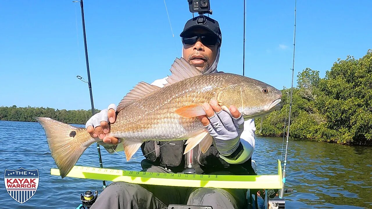 BIG Ol' REDFISH In My First Redfish Tournament - RAKF