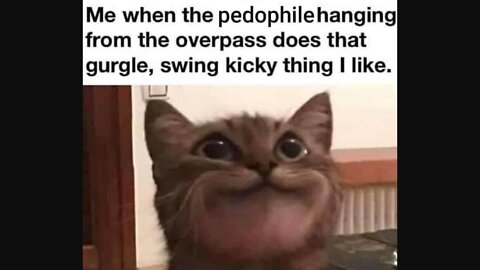 they Aint Gonna Arrest Themselves!! #GoodWillPedoHunting