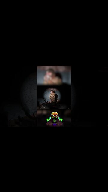 Gun safty in the zone lol 🫡 #postapocalyptic #stalkeranomaly #survivalgame #stalker2 #stalkeranomal