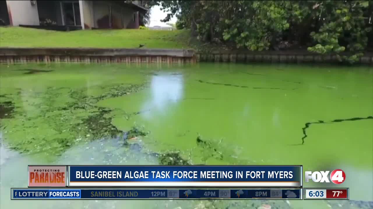 Blue-Green Algae Task Force will hold meeting in Southwest Florida Monday