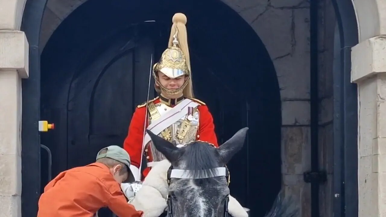 A lovely moment a kid makes the kings guard smile #horseguardsparade