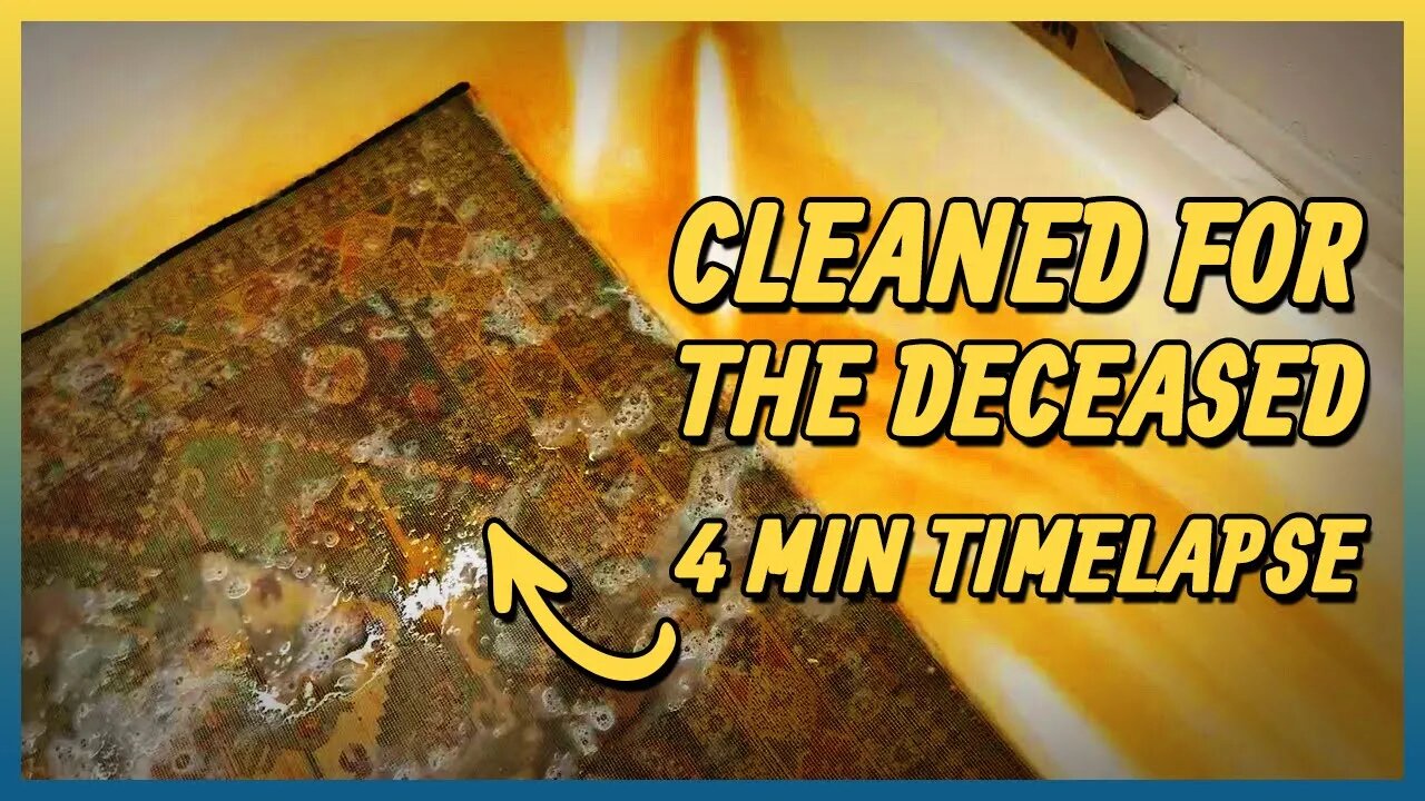 Rug Clean For a Deceased Relative | 4 Minute Time Lapse