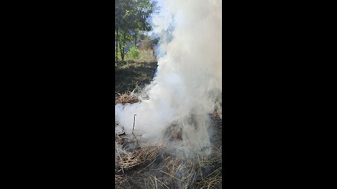 Smoke