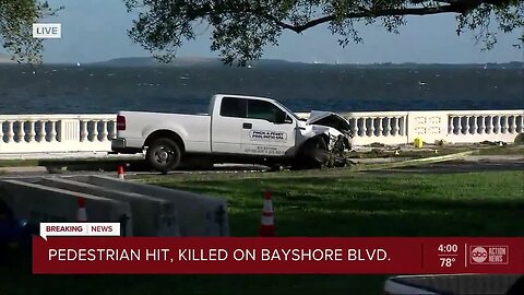 Pickup truck knocks pedestrian into water along Bayshore Blvd.