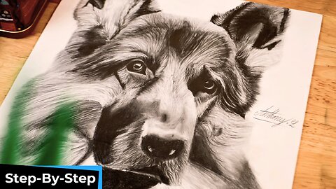 How to Draw a Dog in 10 Minutes