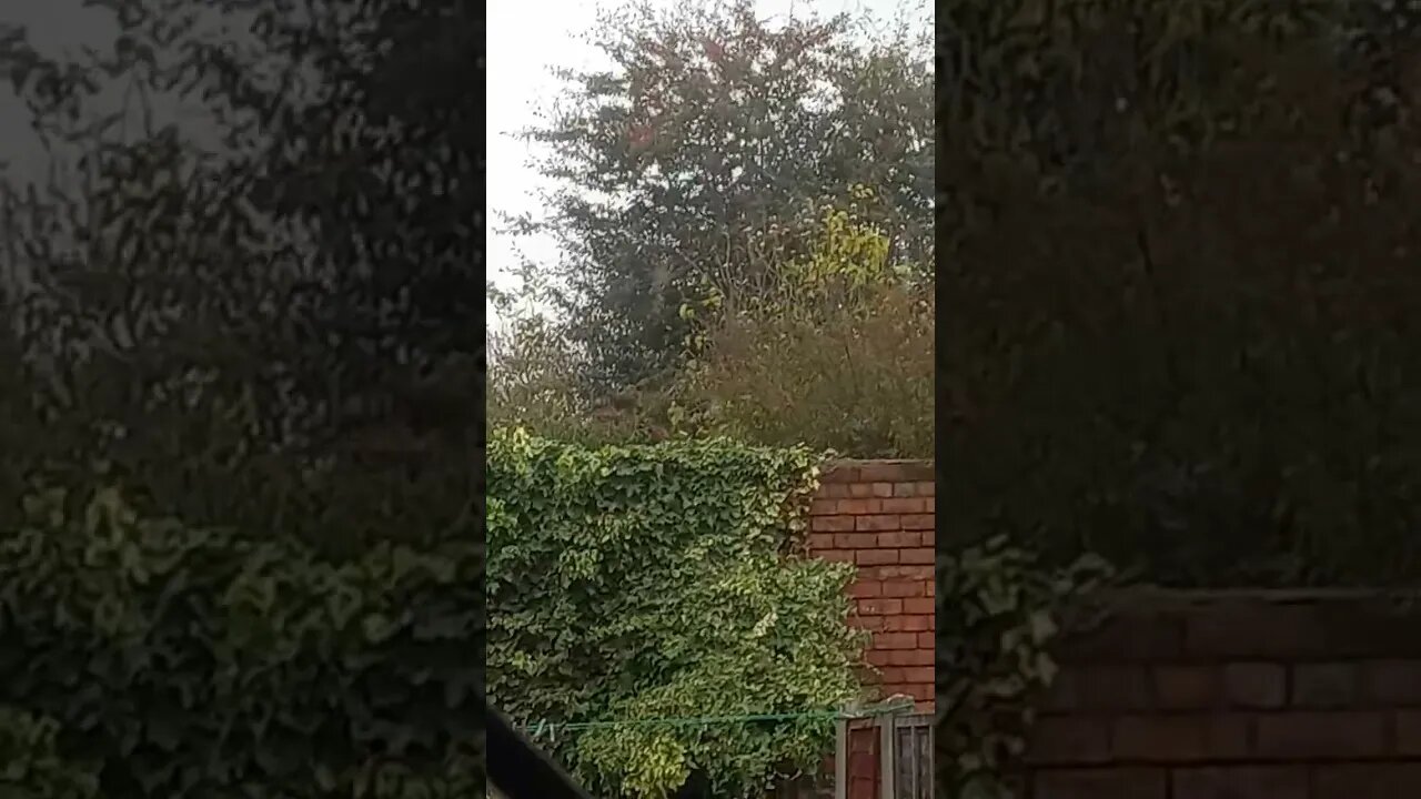 Autumn going & Coming Winter ....