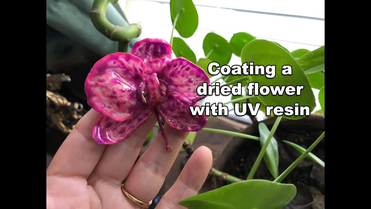 Preserving dried orchid flower with UV resin