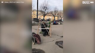 Cet homme fait de la musique avec des bouteilles!