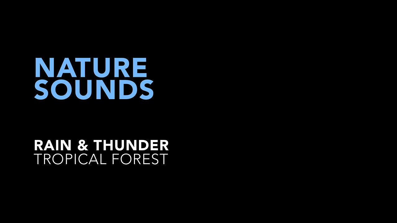 Rain & Thunder - Nature Sounds