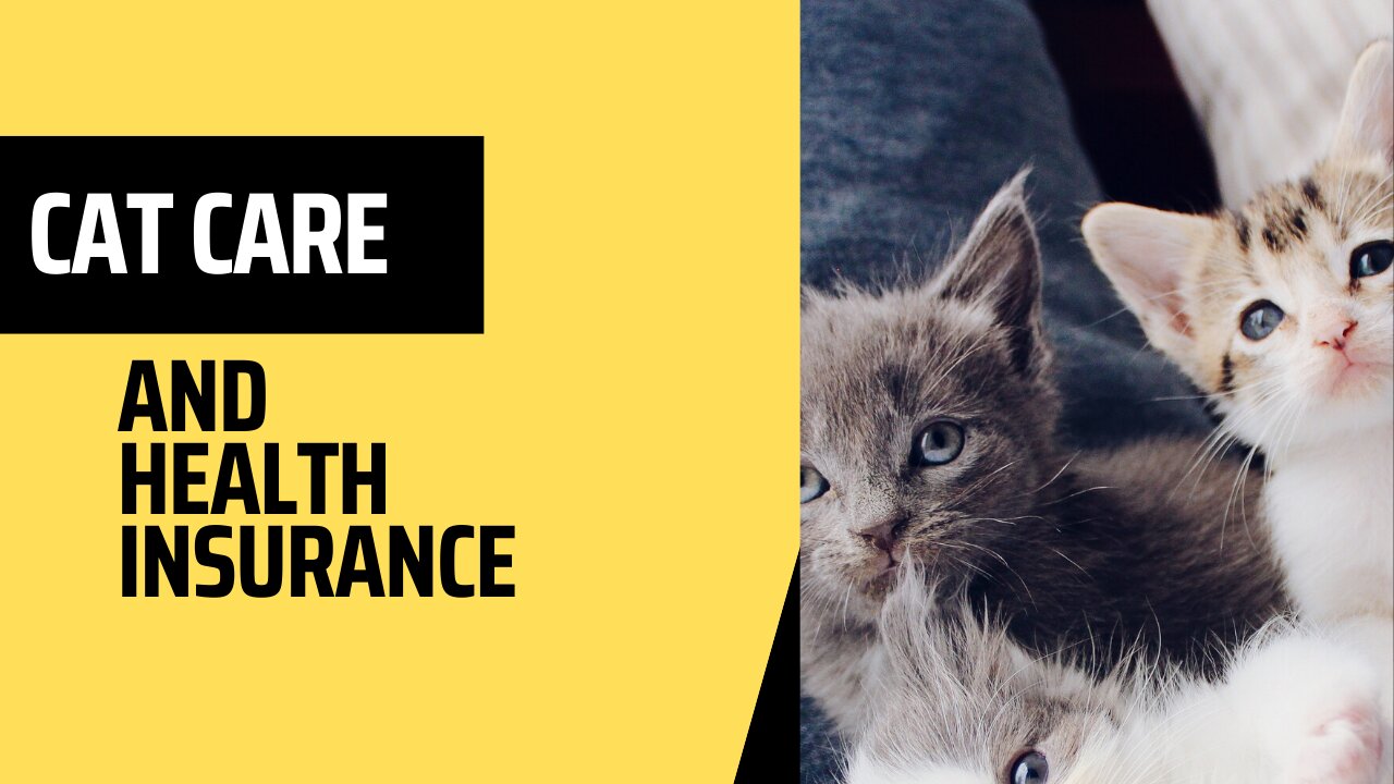 CAT CARE HEALTH INSURANCE.