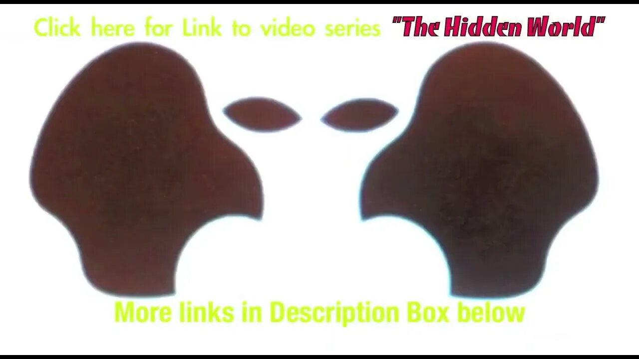 Alien/Fallen Angel Infection - Jonathan Kleck