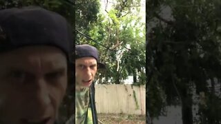Hurricane Ian Relief