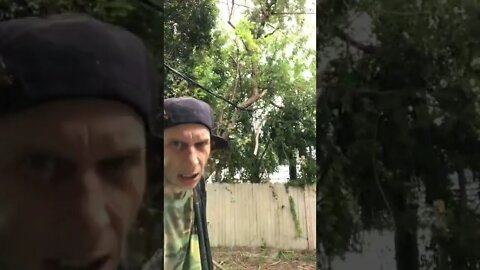 Hurricane Ian Relief