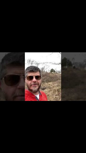 Love and Unity - Lessons From Amphibians