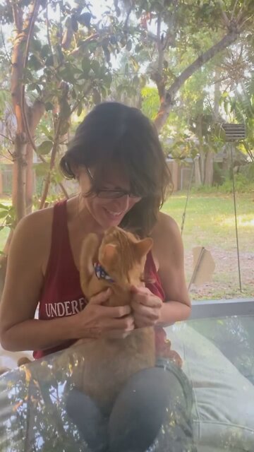 L is for the way you look at me