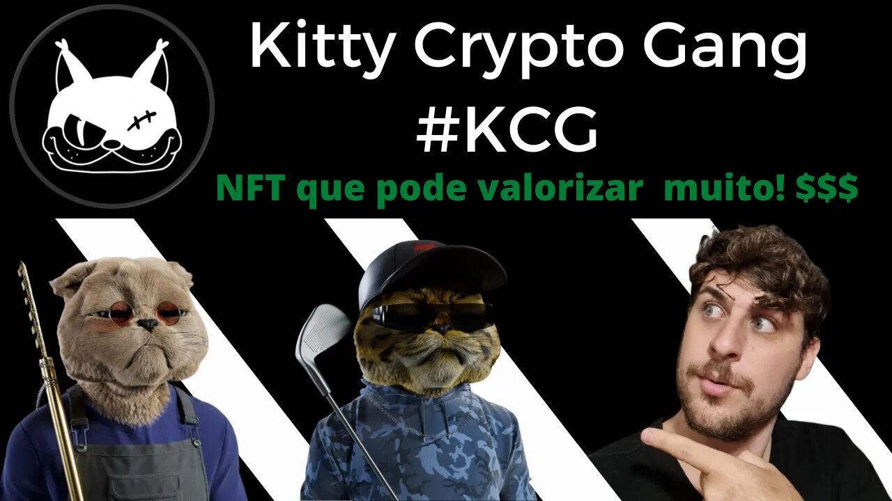 Coleção NFT com alto potencial de lucro - Kitty Crypto Gang (KCG)