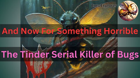 And Now For Something Horrible - Photurus and Photinus, A Tale of Murder
