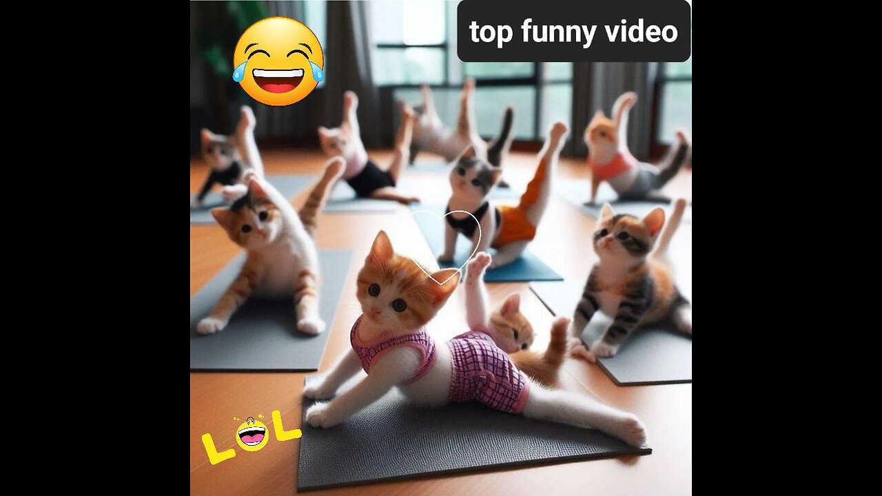 Sooo funny cats and dogs video. 🤣🥰🤩