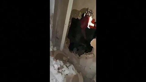 След 28 дни Спасиха куче с три малки под руините в Турция