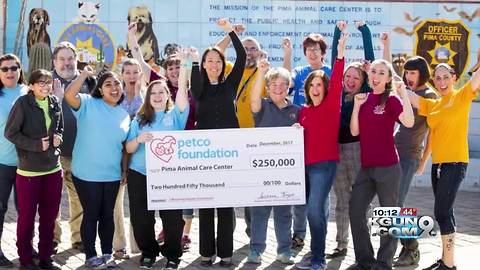 PACC receives $250,000 grant from Petco to help kitten fostering program