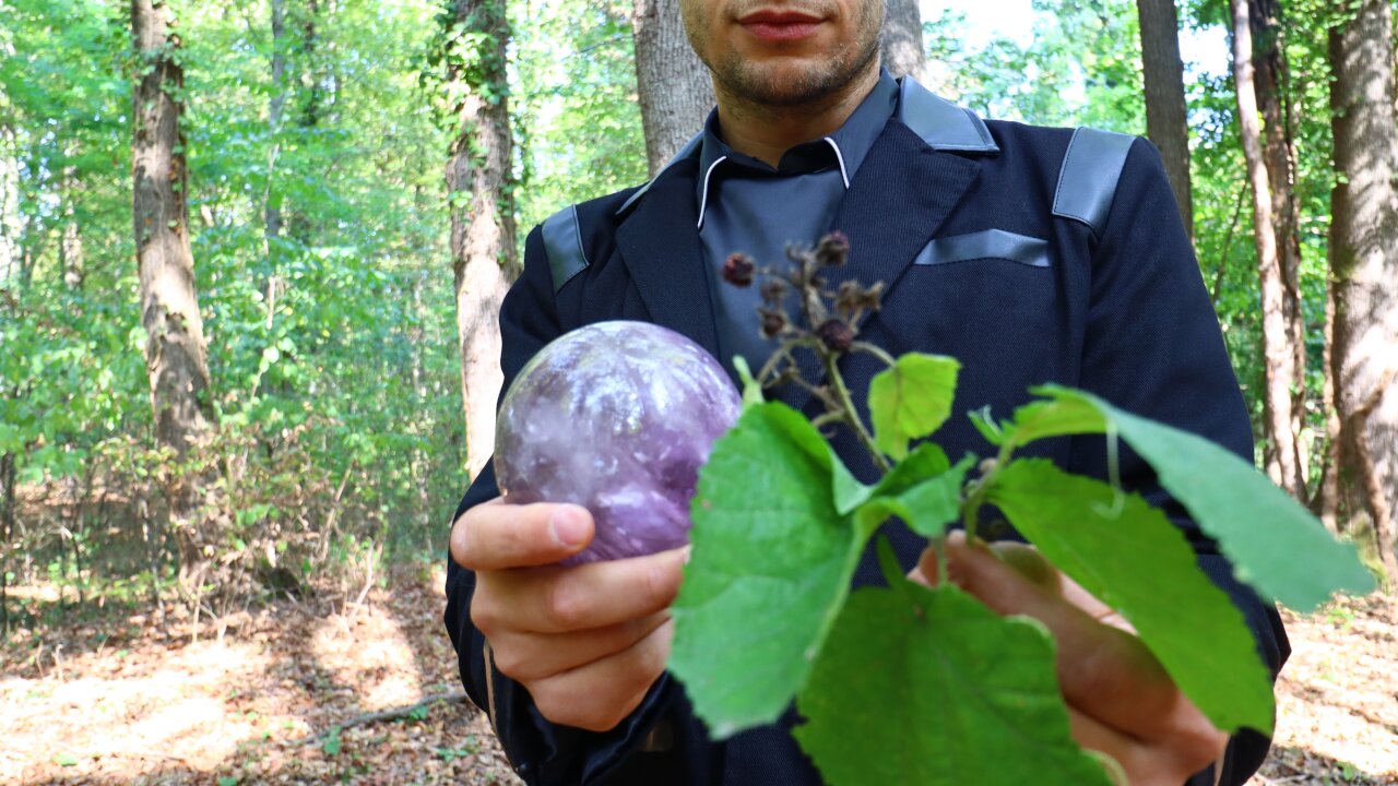 Destroy Blockages Stopping You from Eating Wild Plants