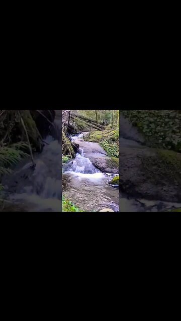 Fall asleep fast! #shorts ##fallasleep #fallasleep #amsr