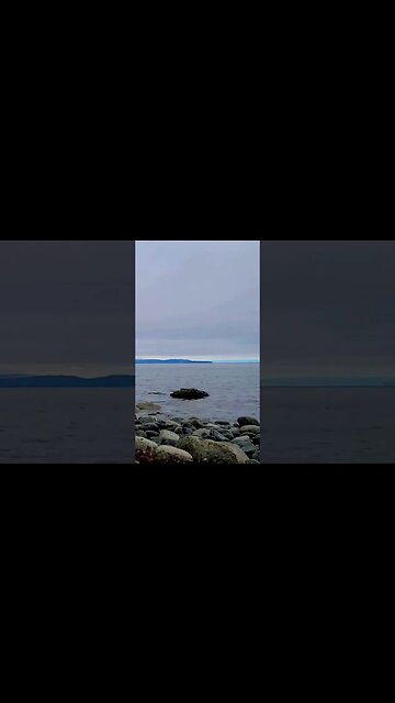 nice calming ocean waves. #shorts #relaxation #oceanwaves