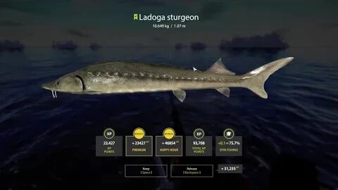 Russian Fishing 4 Ladoga Archipelago Ladogo Sturgeon 10 . 649 Kg