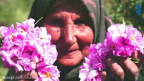 Gulab, Kashan, Iran