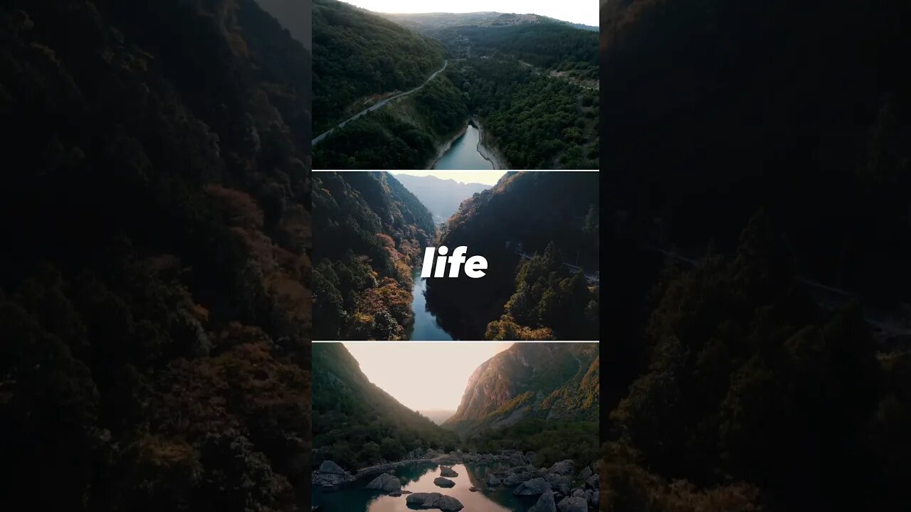 Two Paths, One Journey | ✍🏾💭 ##MotivationShorts #InspireDaily #SuccessMindset