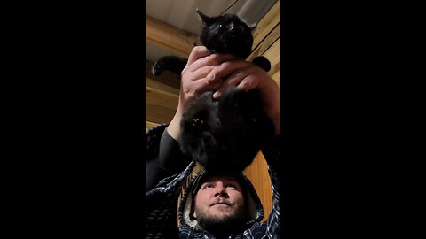 We rescued a feral cat