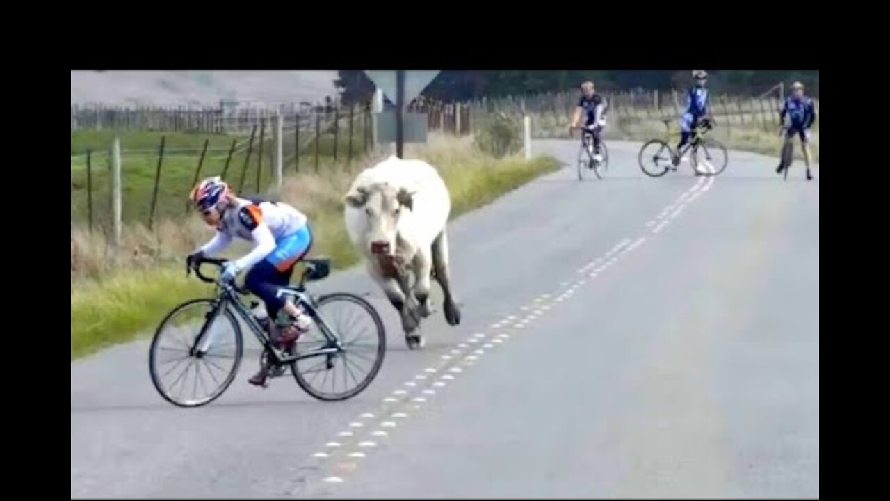 Funny Moments Of The Year Compilation 😂😂😂
