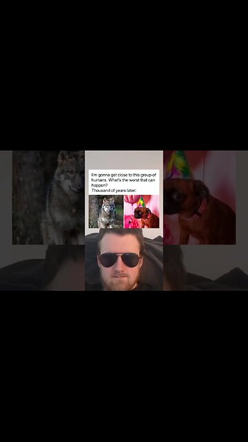 Your daily dose of memes