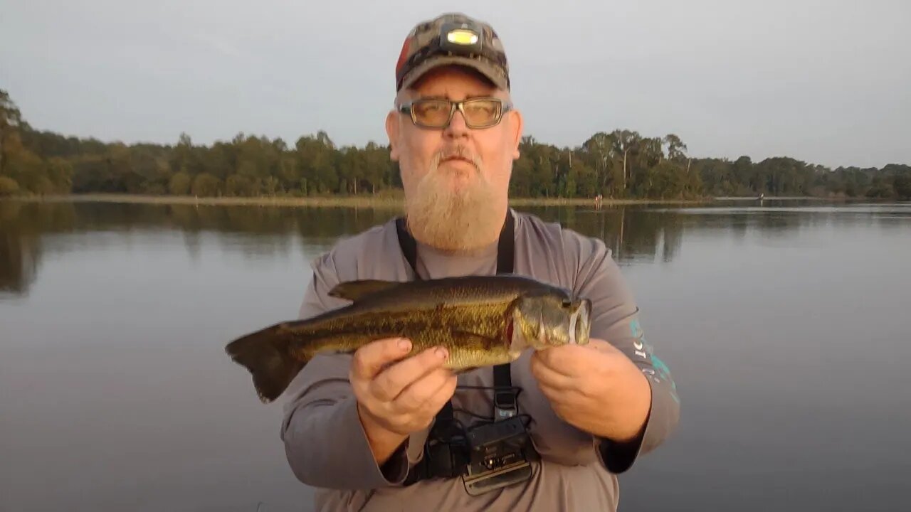 End of Summer on Lake O The Pines #bassfishing #fishing