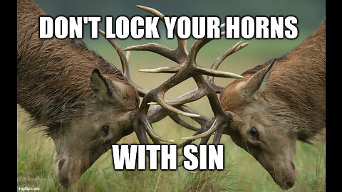 Do Not Lock Your Horns With Sin: Jesus Sets Sinners Free!