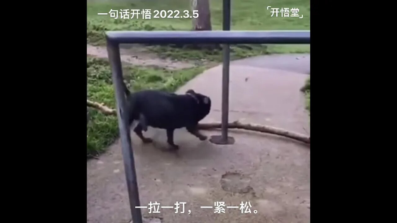 一句话开悟20220305