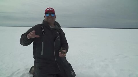 Icing Perch on Lake Winnie