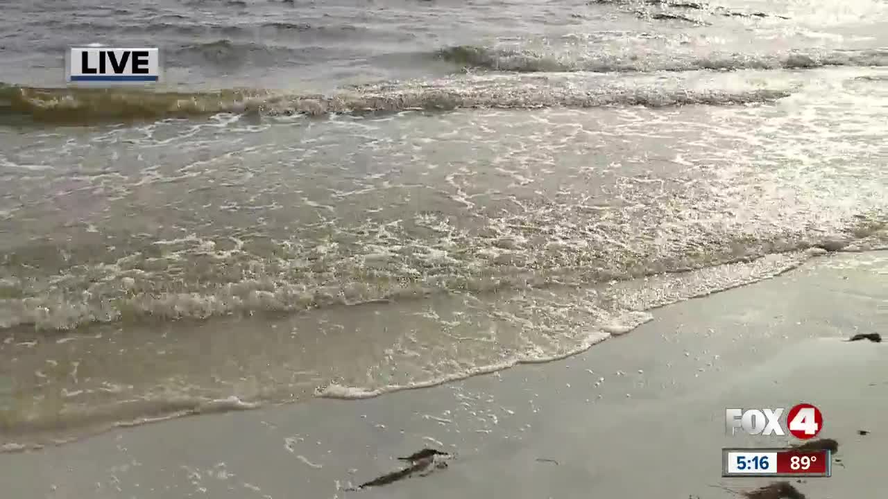 Meteorologist Eric Stone discusses rip currents after Hurricane Dorian