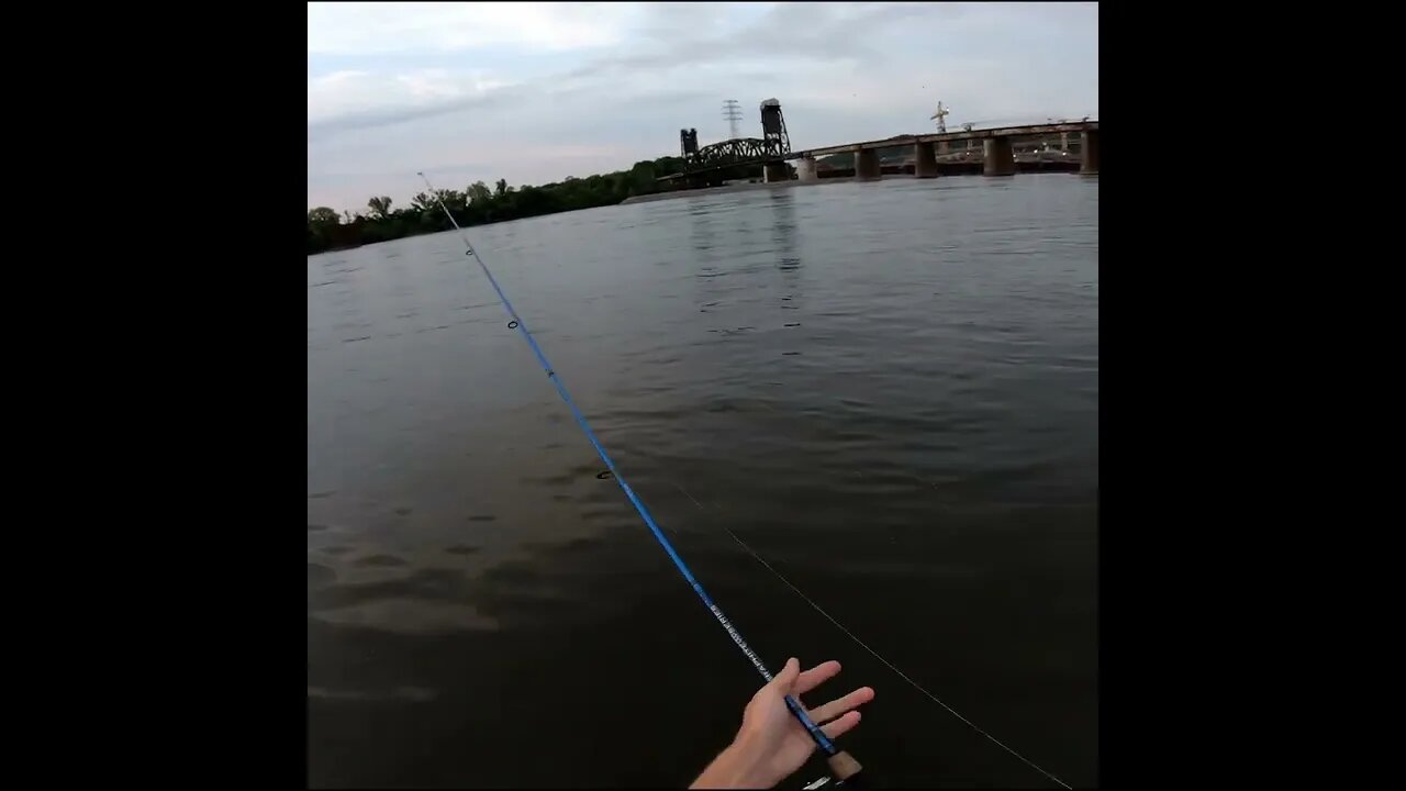 just about got it in before he touched the rod