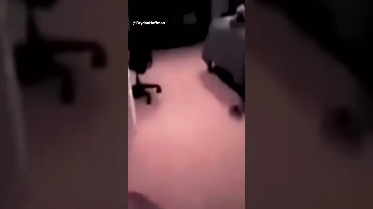 Funny Cat Meme 😂 pt.7 #shorts